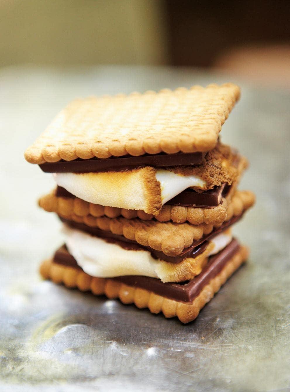 Luxury Marshmallow S'mores Toasting Kit Chocolate Smores Box for Birthday Xmas Eve NYE New Years - Annie's Dog Treats