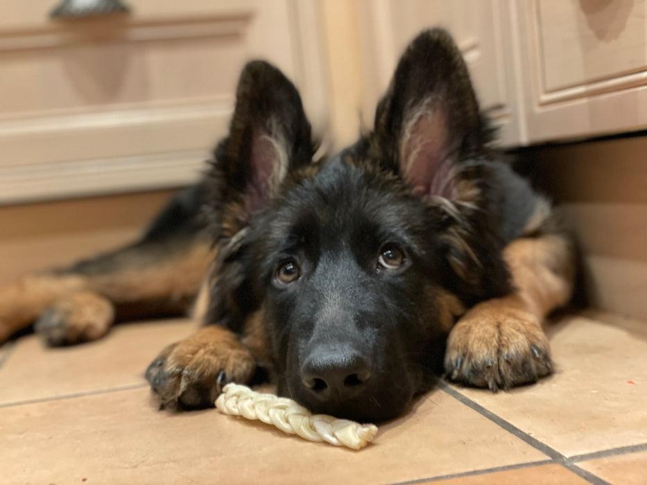 Braided Lamb 100g - Annie's Dog Treats